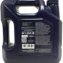 Масло TOYO-G Extra 5W-30 SN/CF 4 л 9555131408245